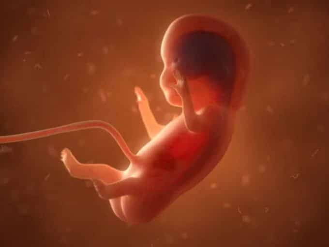 in-vitro-fertilization-treatment-beyond-infertility-fetus-in-amniotic-fluid